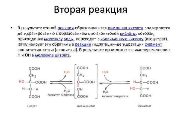 Кракен даркнет зеркало